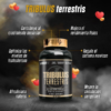 Landerfit Tribulus